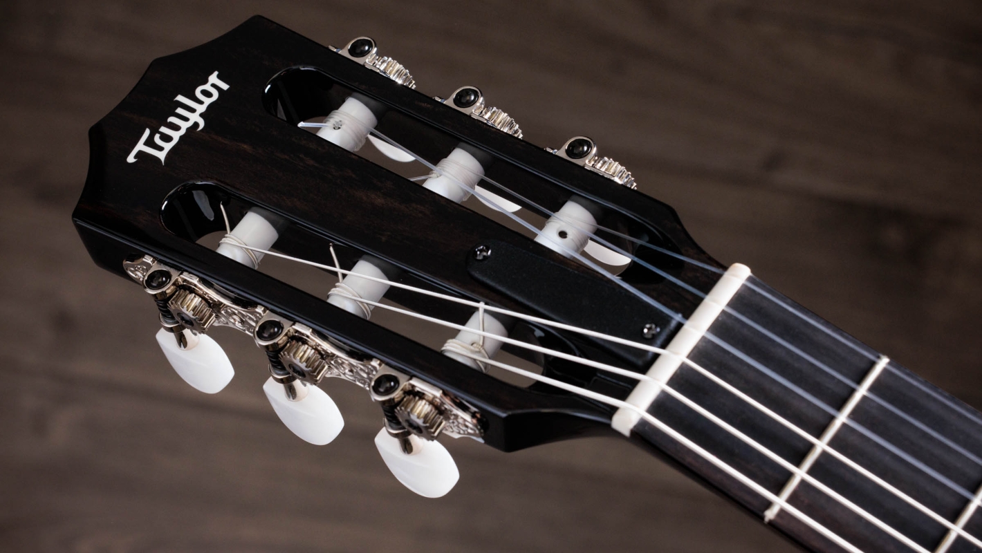 212ce N BLK Plus LTD Layered Big Leaf Maple Acoustic Guitar Taylor Guitars